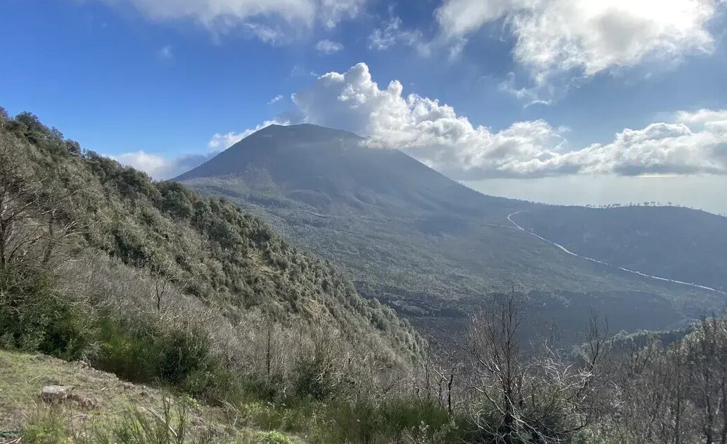montesomma1