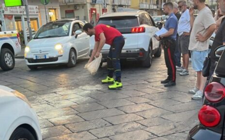 olio in strada