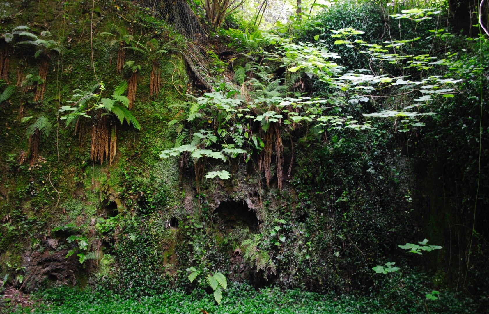 valloni capodimonte