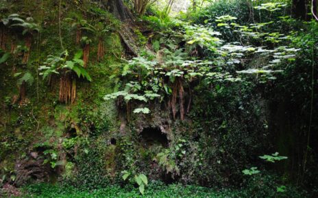 valloni capodimonte