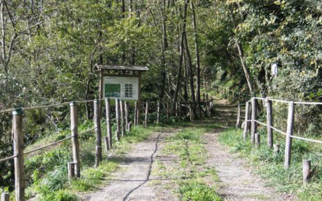 03 sentiero il monte somma parco nazionale del vesuvio
