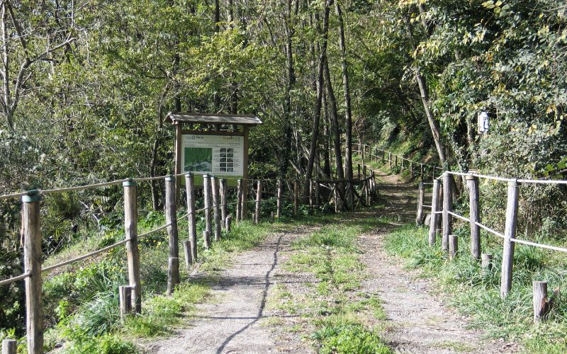 03 sentiero il monte somma parco nazionale del vesuvio