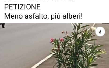Brusciano-Marigliano, la strada nera: Petizione per ridare alberi alla 7bis 4 9fa1df25 e19d 43d0 be4e 7e953fc027bf