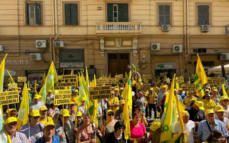 Campania, Coldiretti Caserta: "Incontro in Regione a fine mese per contrastare la fauna selvatica" 6 Cinghiali Regione Campania mobilitazione 11
