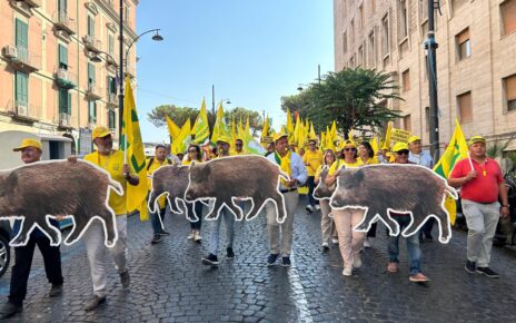 Campania, emergenza cinghiali nel casertano: dal 2 agosto ritorna la caccia di selezione con le Atc 3 Cinghiali Regione Campania mobilitazione 9