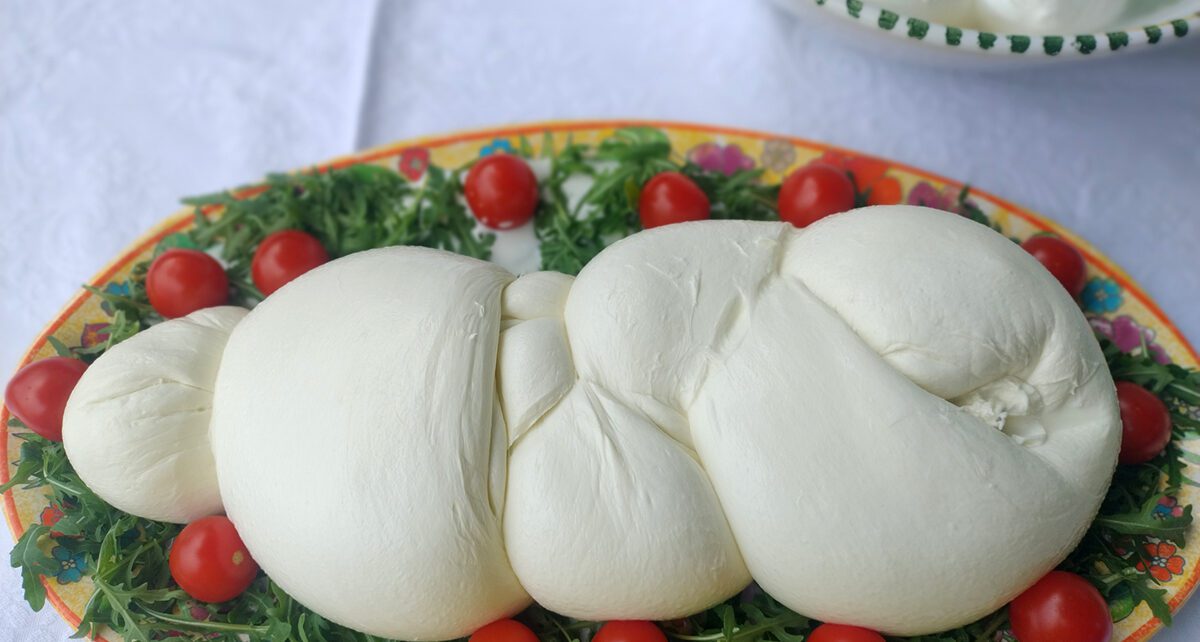 Mozzarella 15