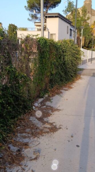 Marigliano, Pista ciclabile ripulita a Lausdomini: il Comune dichiara guerra all’inciviltà 2 Prima dellintervento scaled