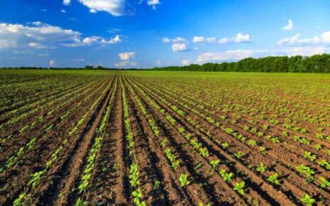 agricoltura biologica italia primato europeo 1024x683 1