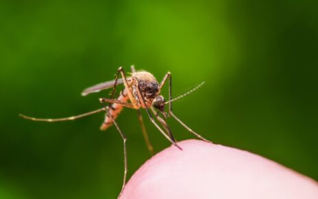 Napoli, Febbre West Nile: il Cardarelli intensifica controlli e prevenzione. Diagnosticato un caso asintomatico in un paziente fragile 3 img west nile 2 la diffusione del virus West Nile dovrebbe preoccuparci e1659967256308