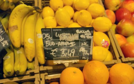 Schiaffo ai prodotti "Made in Italy", la denuncia di Coldiretti Campania: "Attenti ai limoni africani dalla buccia non commestibile" 5 limoni africani