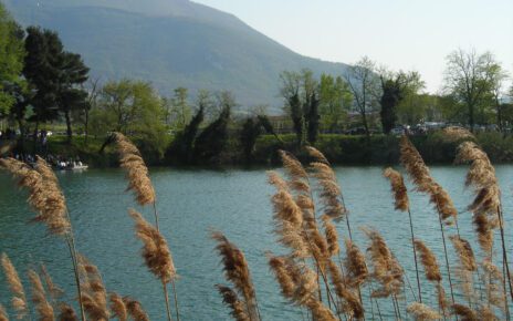 Telese Terme, una notte speciale: musica, emozioni e talento sotto le stelle 4 Telese Terme lago