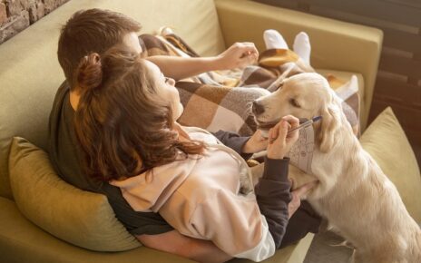 La passione per gli animali conquista l’intrattenimento digitale 3 coppie del colpo pieno sul divano con il cane