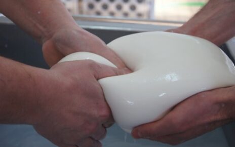 Campania, Latte di bufala. CIA Caserta: “Prezzo in picchiata, senza tracciabilità trasparente la filiera è destinata allo scontro” 3 mozzarella di bufala campana la lavorazione e1402473545596