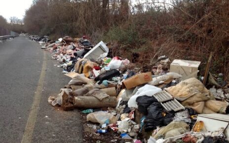 Abbandono rifiuti lungo le strade, reato punibile con sanzioni amministrative e penali: accolta la richiesta della Sigea 9 rifiuti abbandonati