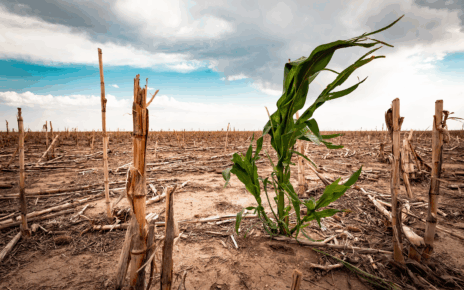 Cambiamento climatico blog