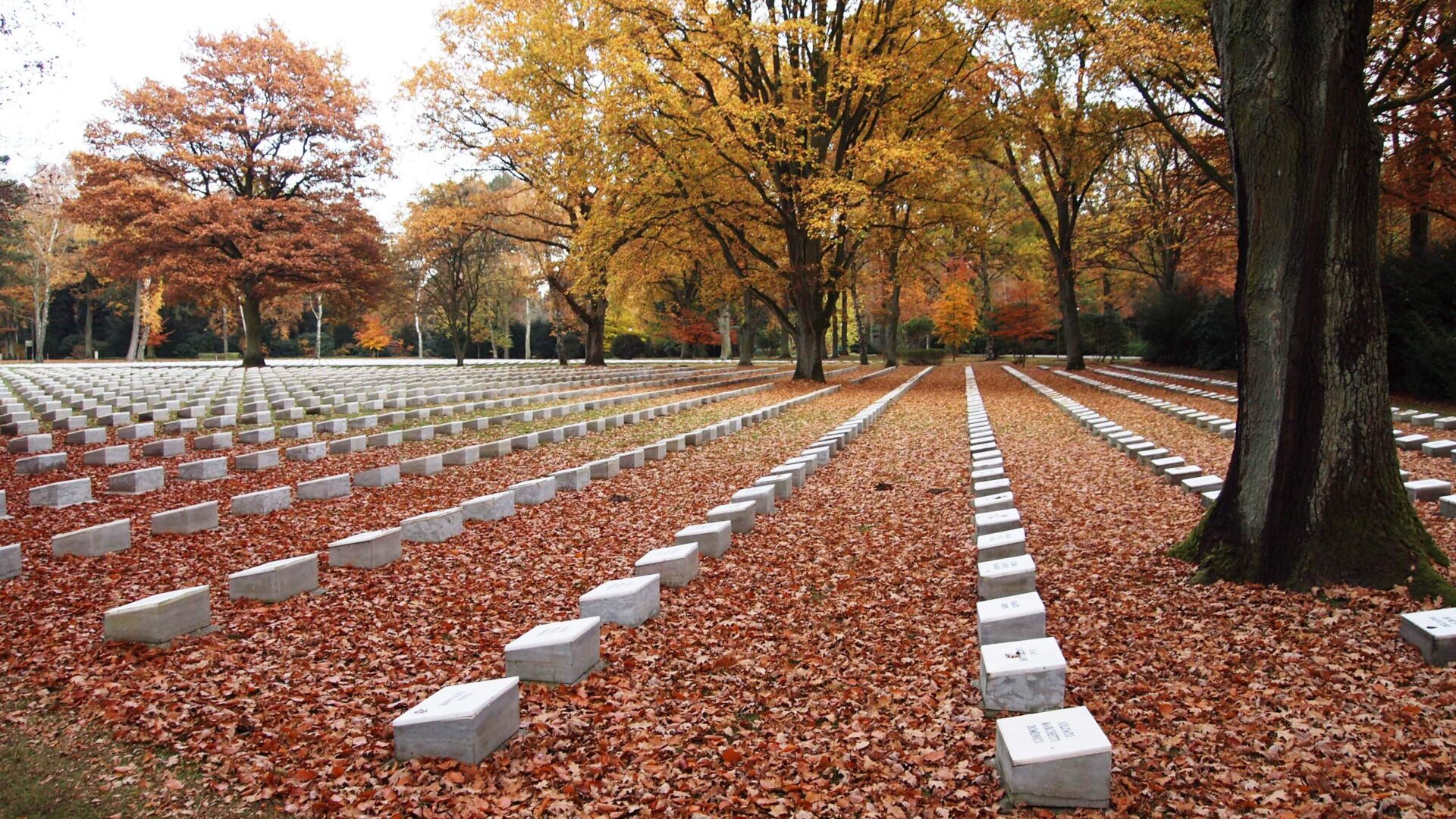 Cimitero militare italiano donore di Amburgo