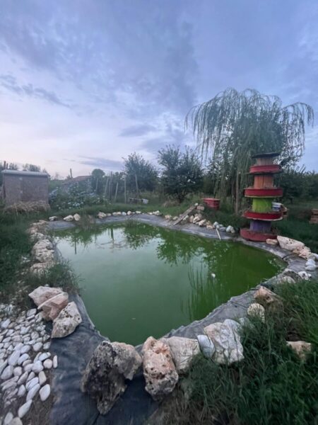 Afragola, Buonajuto in visita alla Masseria Ferraioli: "Esempio positivo. Beni confiscati strumento fondamentale per affermazione della legalità" 5 Masseria Ferraioli 3 scaled