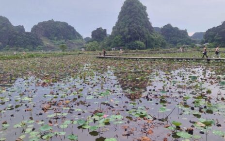 Vietnam, viaggio nell’anima di un Paese che resiste al tempo 4 a5fc8f2f d345 408f 9e30 2074f56de294