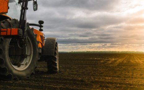 agricoltura nuovi ogm iStock 1398308563 1200x800 1