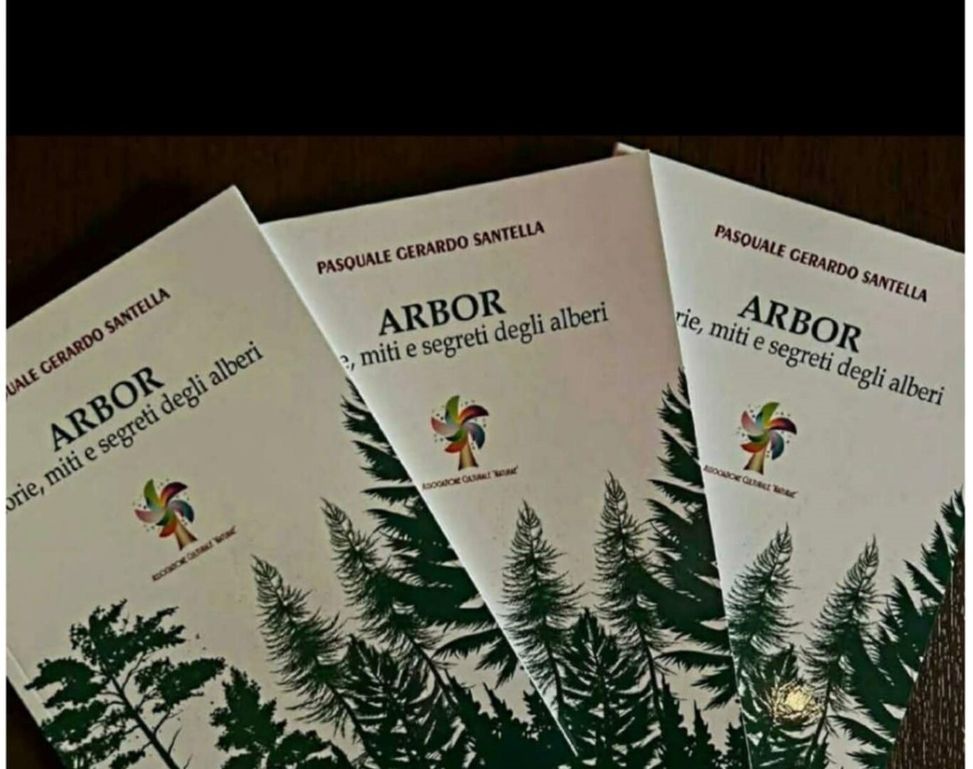 arbor santella