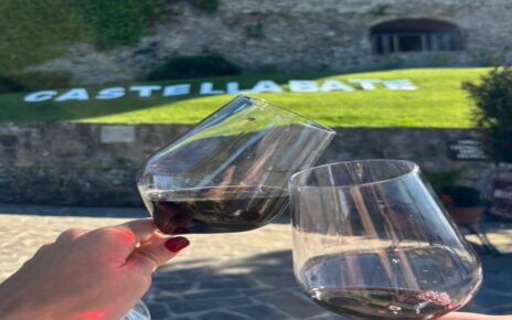 Castellabate ospita "Borgo diVino": tre giorni tra degustazioni, musica e tradizione 5 borgo divinomod