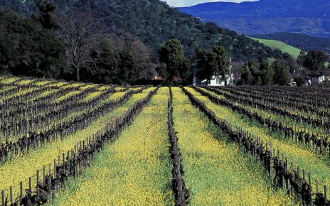 Campania, Turismo Accessibile e Aree interne: Presentazione Progetto D.A.M.A. Un itinerario accessibile in Irpinia e nel Sannio 5 turismo focus