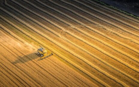 Agricoltura, Confeuro: "Bene Parlamento Ue su semplificazione Pac" 3 114045484 07dbc95e e719 407a b23a f212368ae19d