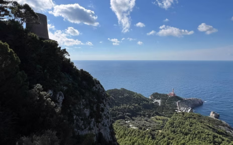 Anacapri coltiva la pace, dal convegno sugli olivi alla Camminata tra gli ulivi: l'isola celebra l'"Ulivo della Pace" 5 9db7852f 867b 53a0 59c2 b3b39d684f67
