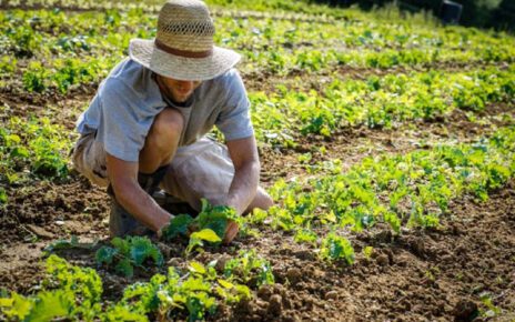 Campania, Coldiretti: arriva la legge regionale sull’agricoltura Sociale e le Fattorie Sociali 3 Giovani Agricoltori al lavoro 1