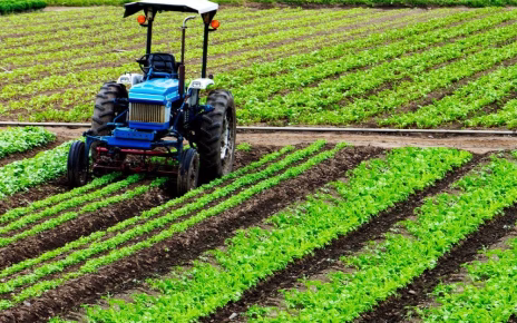 Agricoltura, Confeuro: "In 3 anni governo ha fatto il suo. Vero problema è Ue" 5 agricoltura intensiva