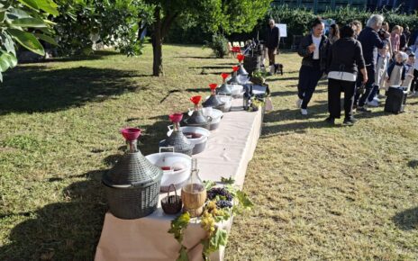 Scisciano, “La vendemmia come una volta”: Babylandia celebra i nonni tra tradizione e natura 5 babylandia