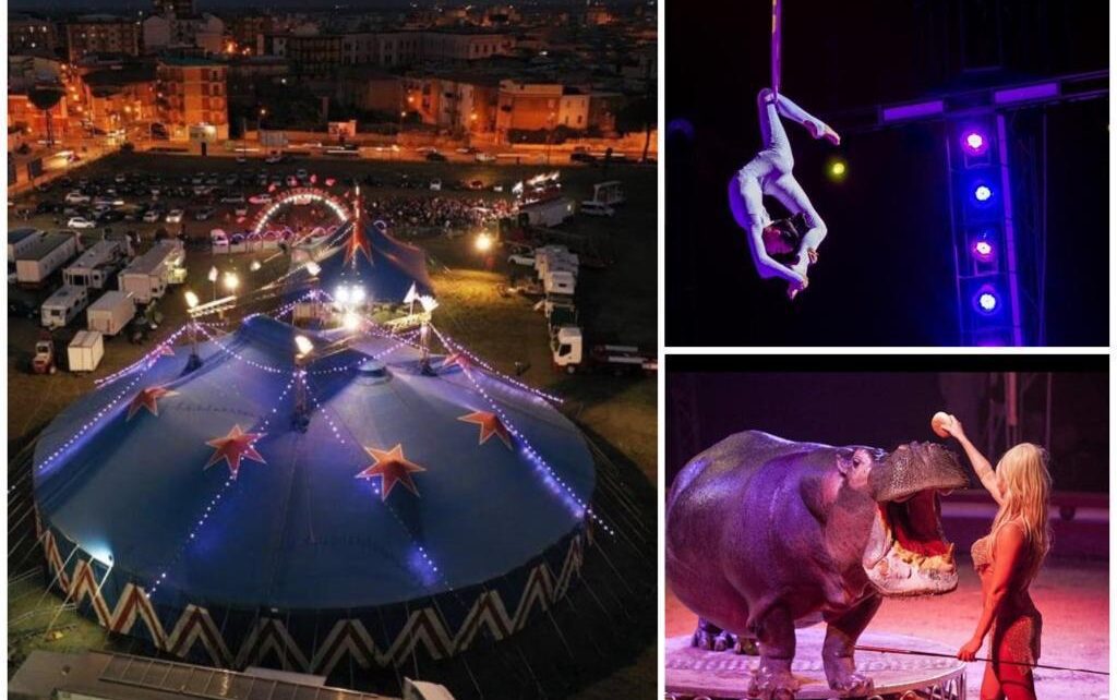 circo paolo orfei