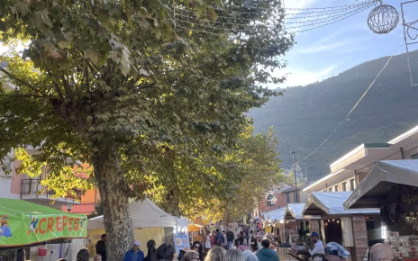Vitulano, al via la 32° Sagra della Castagna e del Pecorino Vitulanese. Il sindaco Scarinzi: “E’ un momento di orgoglio per la nostra comunità” 5 sagra castagna
