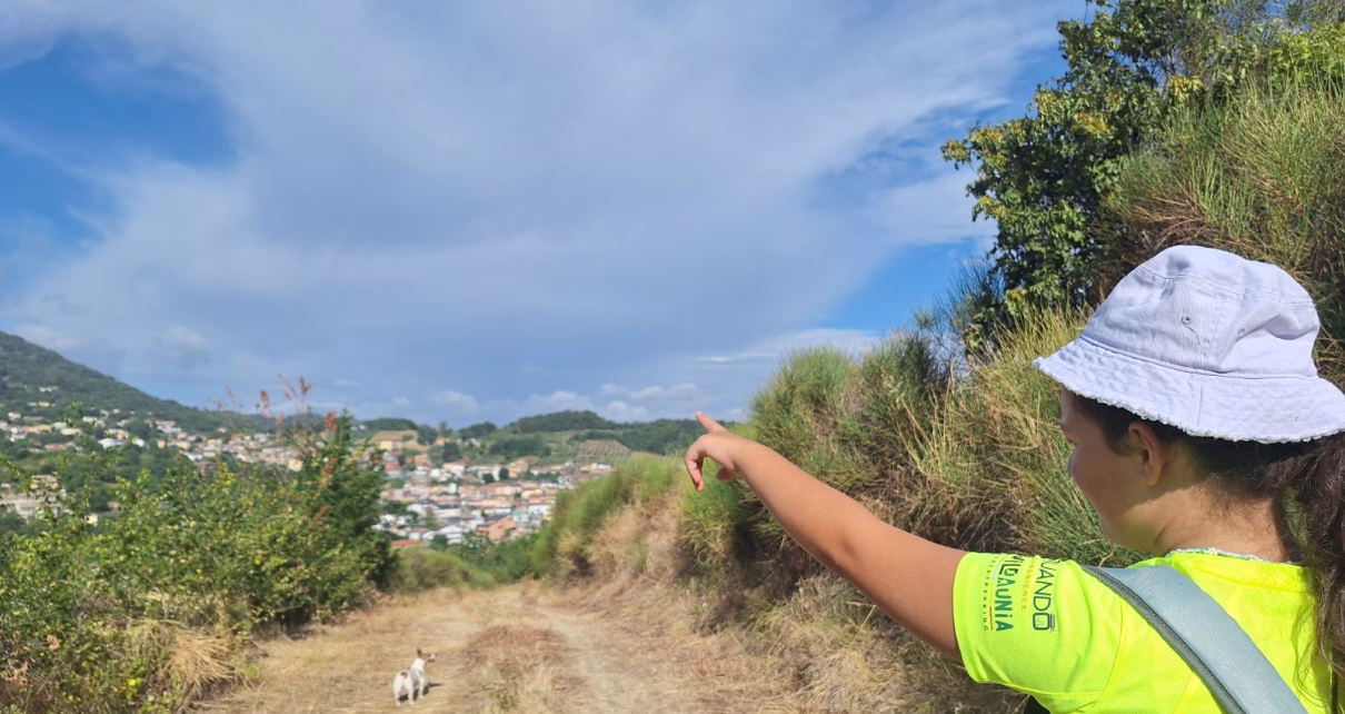 vallesaccarda