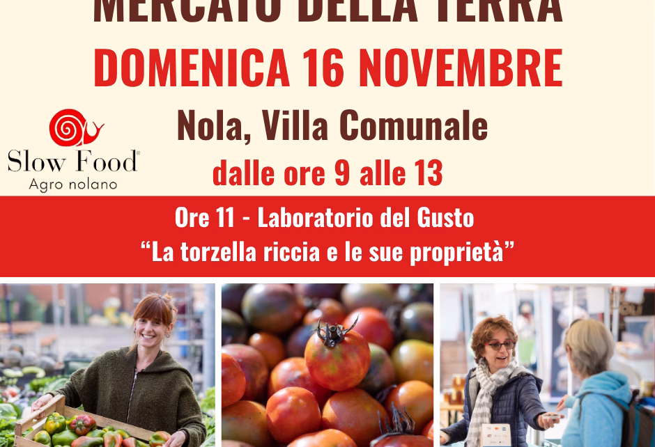 Locandina Mercato della Terra novembre2025