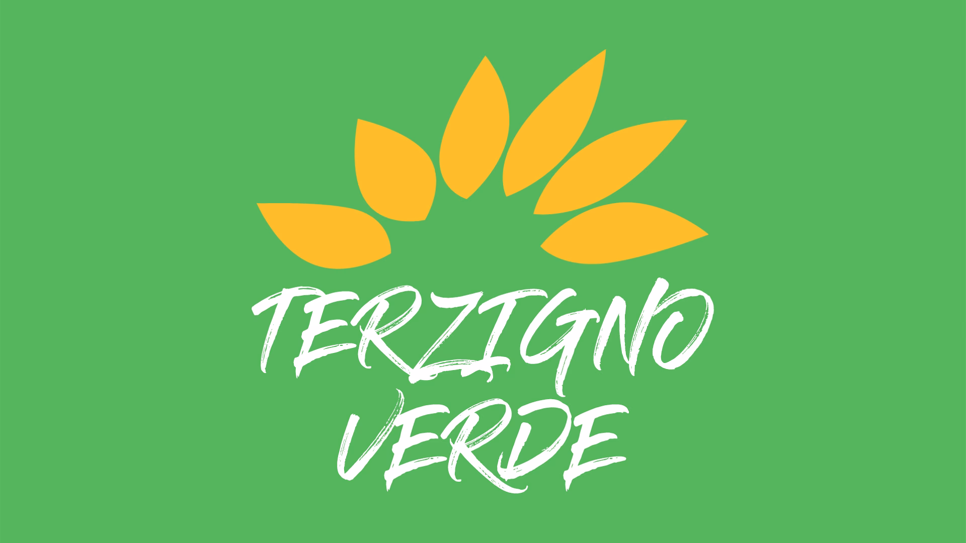 bandiera terzigno verde 1