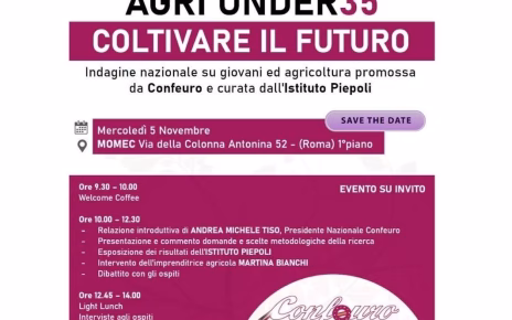 conflocandinamod