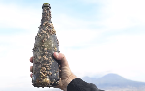 Napoli, dodici mesi di affinamento subacqueo: ecco i nuovi vini del mare di Cantine Carputo 6 1 2