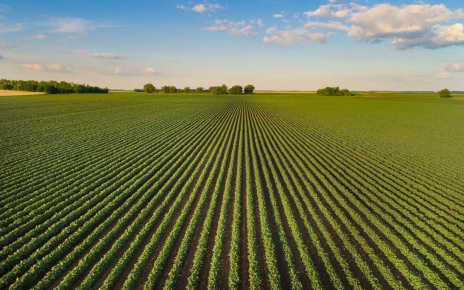 Manovra Finanziaria 2026, Cia Agricoltori Italiani Campania: "Accolti correttivi ma l'agricoltura resta senza una vera visione politica" 5 Agricat