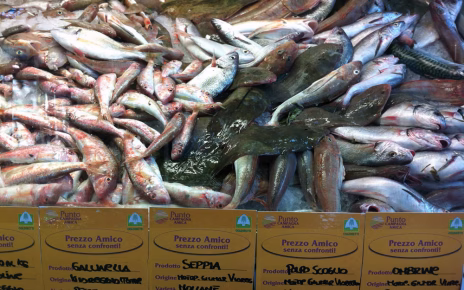 Capodanno in Campania, Coldiretti/IXE': 131 euro a famiglia del Sud per il cenone (+7%) 4 Banco del pesce