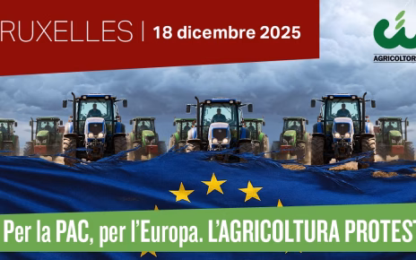 Cia Campania alla marcia di Bruxelles del 18 dicembre 3 CIA Bruxelles 18 dic 1200x63mod