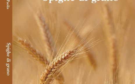 Copertina Spighe di grano mod