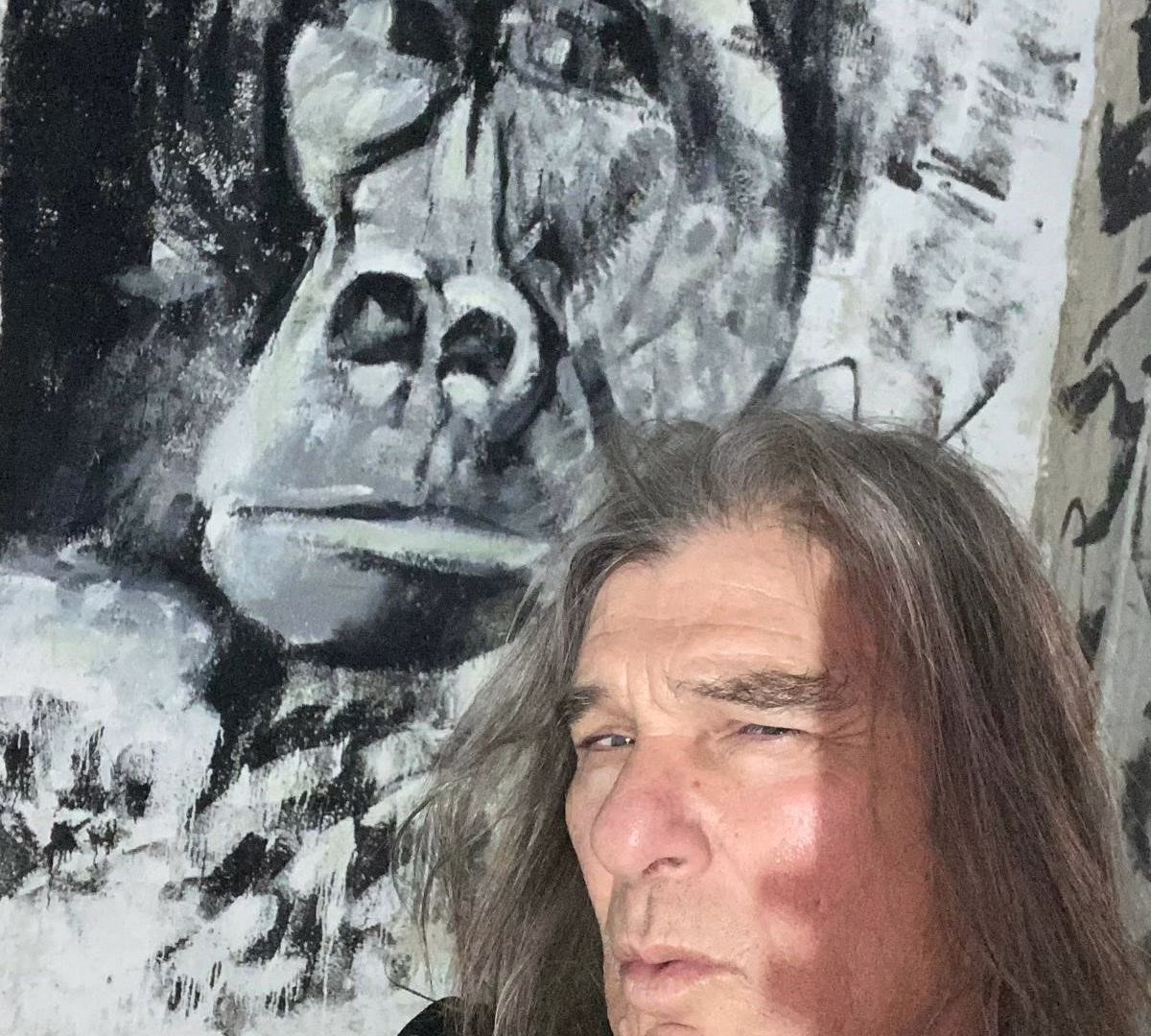 De Andre il Gorilla di Fernando Mangone al Museo MaMmod