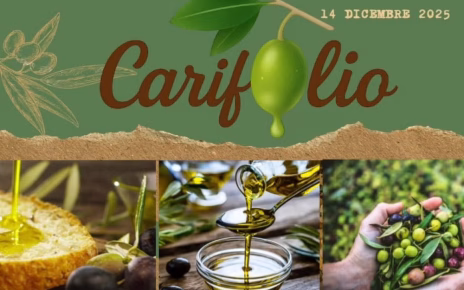 Carife, Carifolio 2025: l’Irpinia celebra l’olio nuovo tra tradizione, cultura e sapori 4 FB IMG 1764336741238