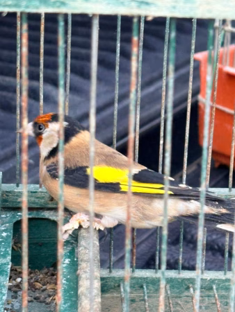 Foto del 06 12 25
