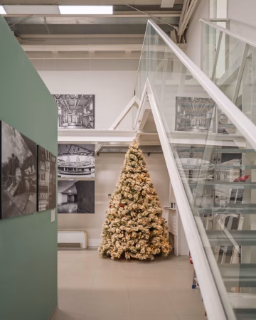 L'Ordine degli Architetti di Napoli lancia l'iniziativa "L'Albero Solidale" 3 albero 2