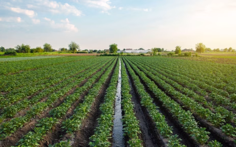 Ue, Confeuro: "Bene accordo su Tea per agricoltura forte e sostenibile" 3 cos e architettura sostenibile