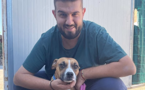 Nasce il Calendario 2026 di "Zampe Vollesi": un progetto di cuore per dare speranza ai cani dei canili 3 zampe1