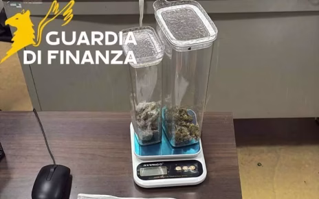 Ottaviano, scacciacani senza tappo rosso e droga in auto: due denunciati dalla Guardia di Finanza 3 2eb2525a558f0bbe75b41bac8907c2e4