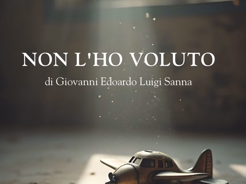 Copertina Non lho volutomod